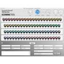 Farnsworth-Munsell 100 Hue Scoring Software only 