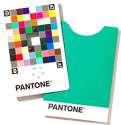 Pantone Color Match Card single 