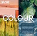 Scout Unisex Casual + Youth +  + Kids S/S 2027 