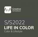 A + A Life in Color S/S 2022  