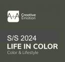 A + A Life in Color S/S 2024 (2024.2) 