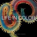 A + A Life in Color S/S 2026 (26.2) 