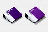 PANTONE Solid Chips Set coated & uncoated (2-book set) 