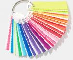 PANTONE Fashion Home + Interiors Nylon Brights Ring Set 
