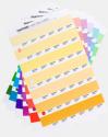 PANTONE Solid Chips Coated Replacement Page 2022 