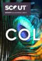 Scout Women's Trend Report Col Colour & Trend A/W 26/27 