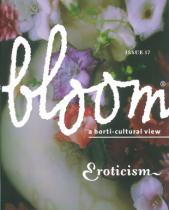 Bloom no. 17  