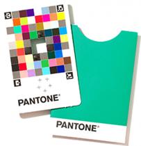 Pantone Color Match Card single 