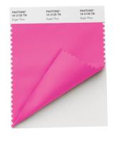 PANTONE Fashion & Home Nylon Brights Swatch Card 