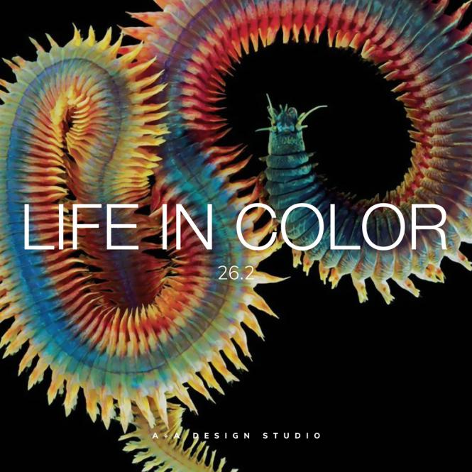 A + A Life in Color - Subscription World Airmail 