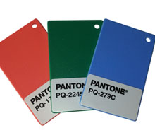 PANTONE Plastic Standard Chip WARMGRAY6C 